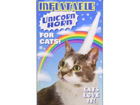 Inflatable cat unicorn horn